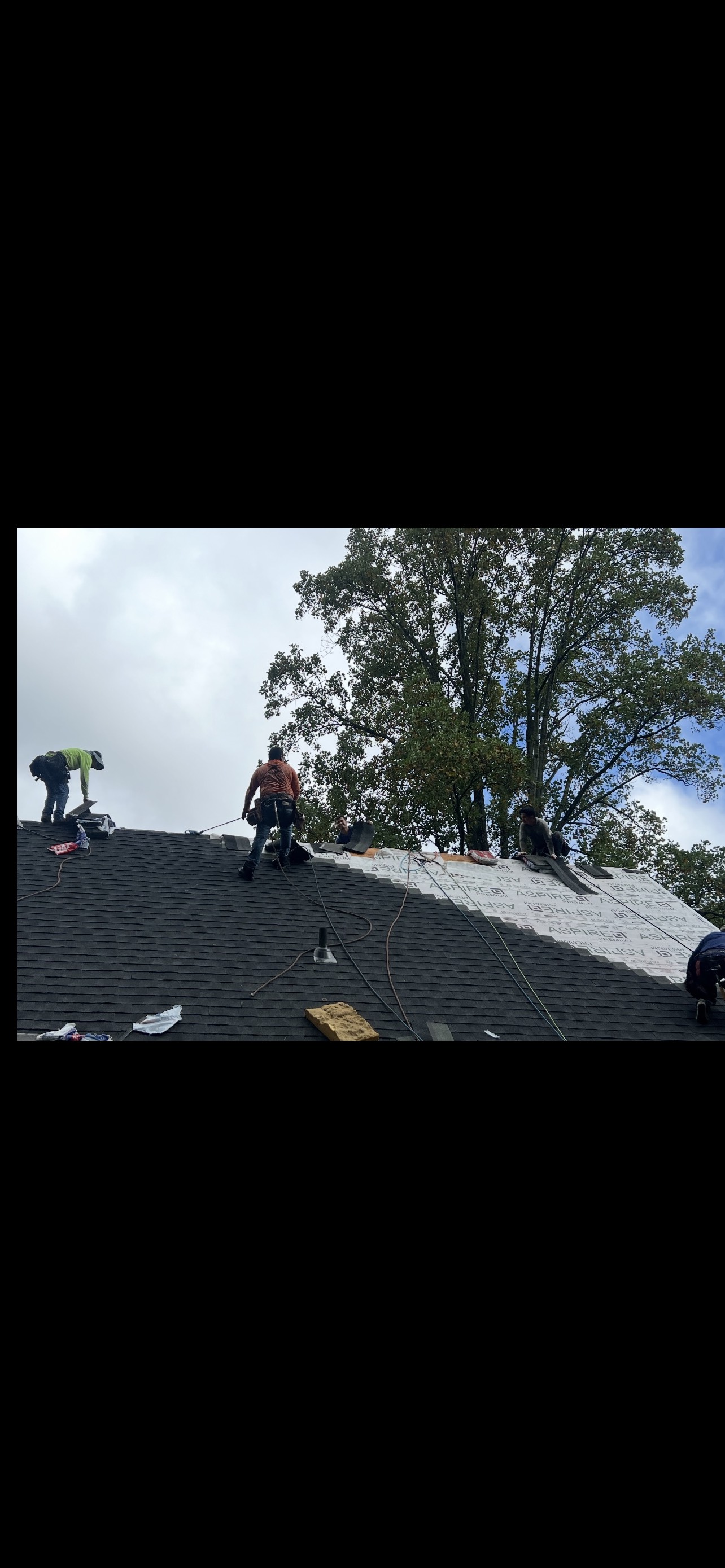Shingle Roof Replacement