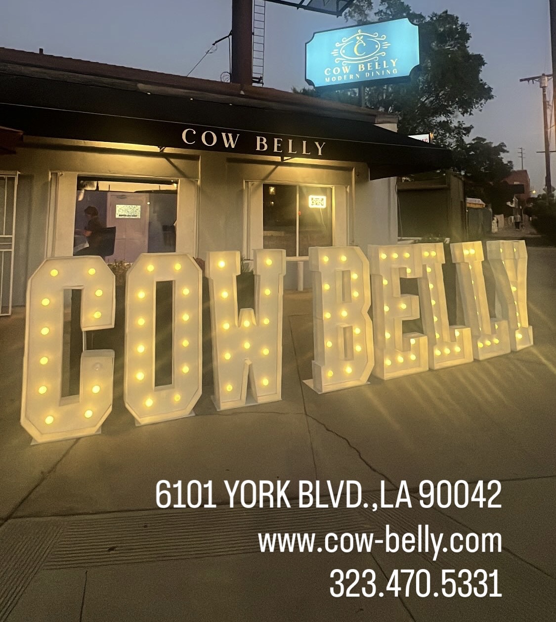 Cow belly's image