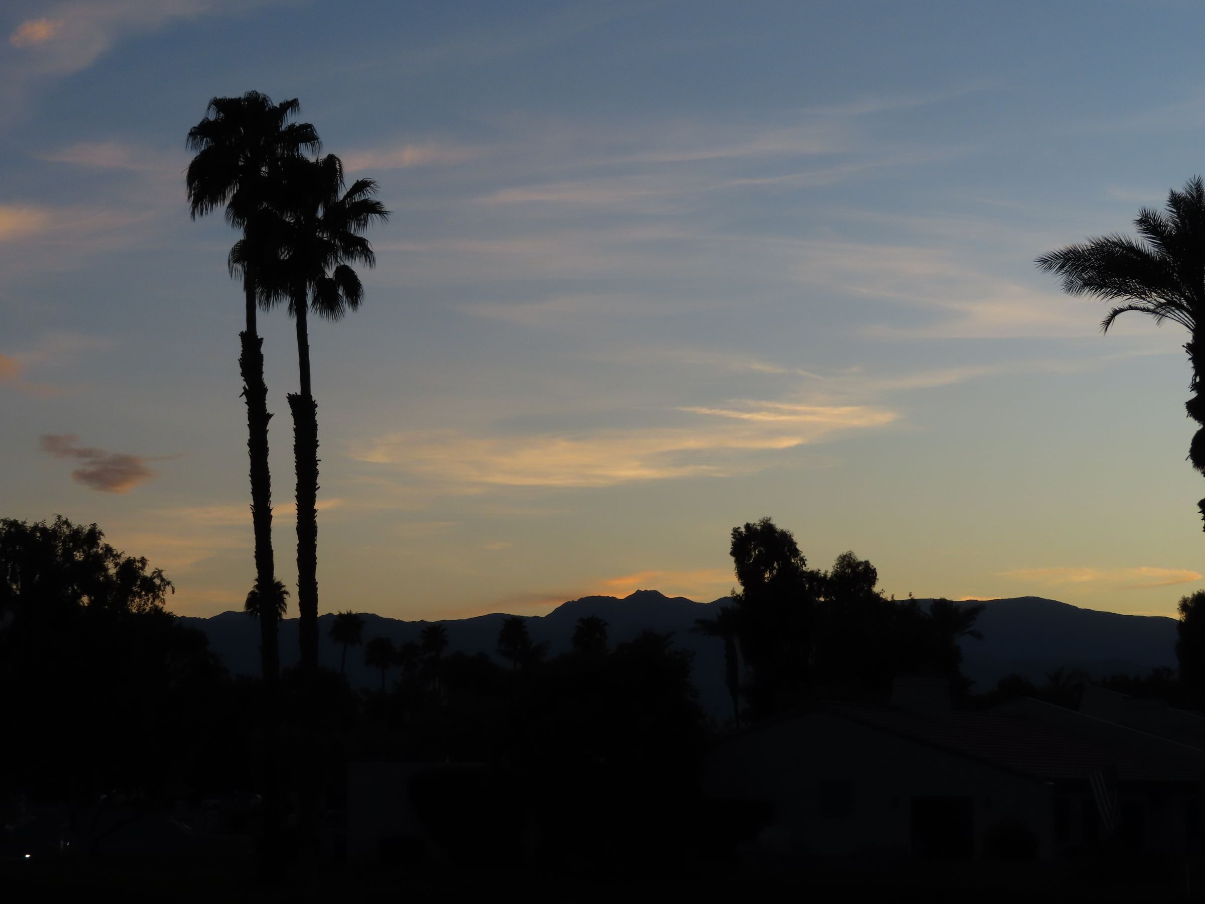 Luxury Lens Studio's image