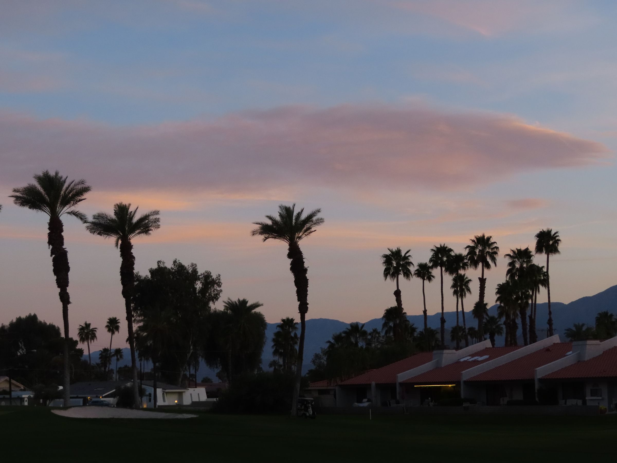 Luxury Lens Studio's image