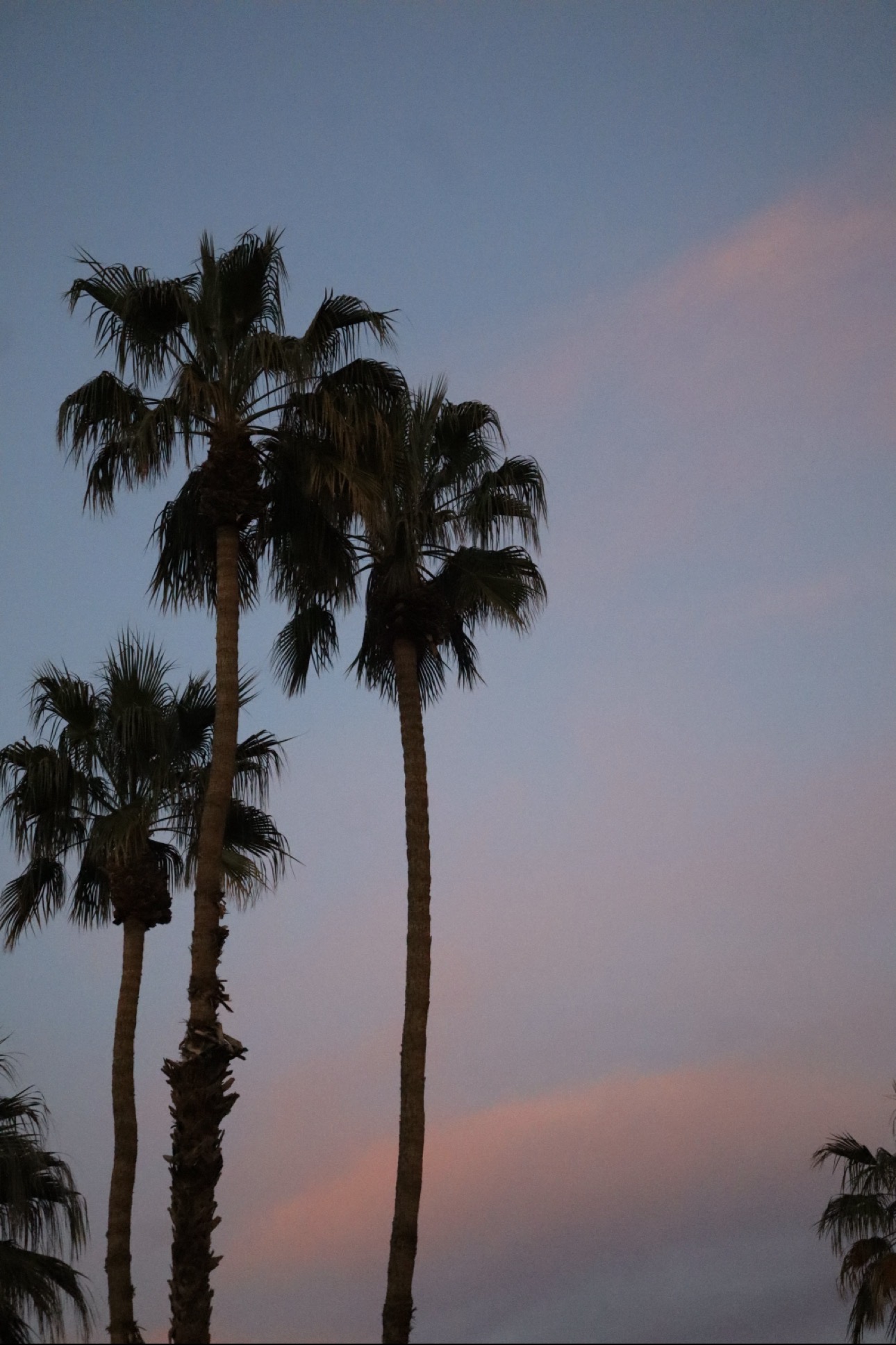 Luxury Lens Studio's image