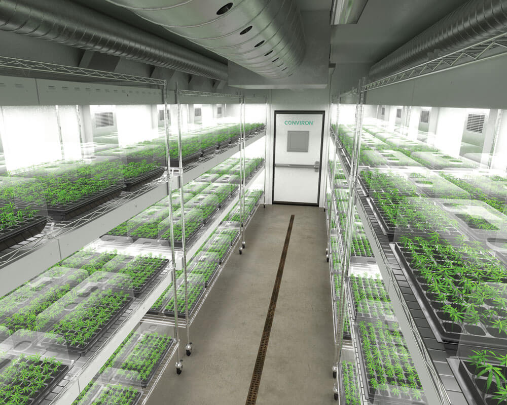 Cloc Essence's image