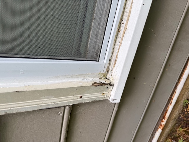 Water damage