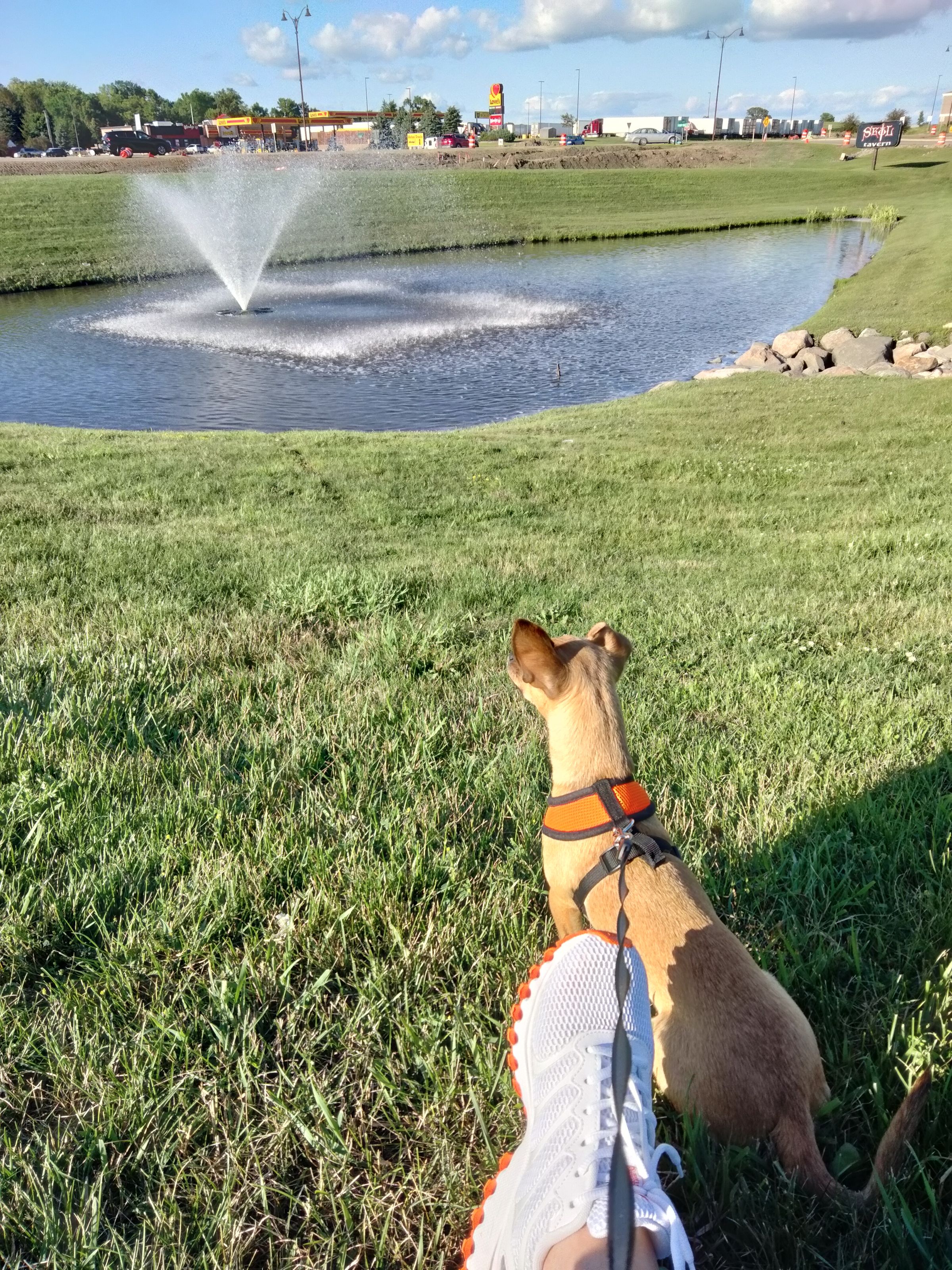 Enjoying the view