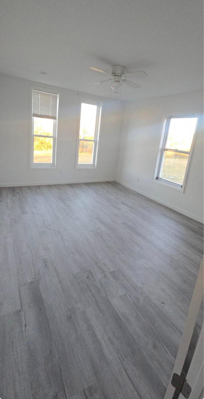 Sunshine Betancourt Rentals's image