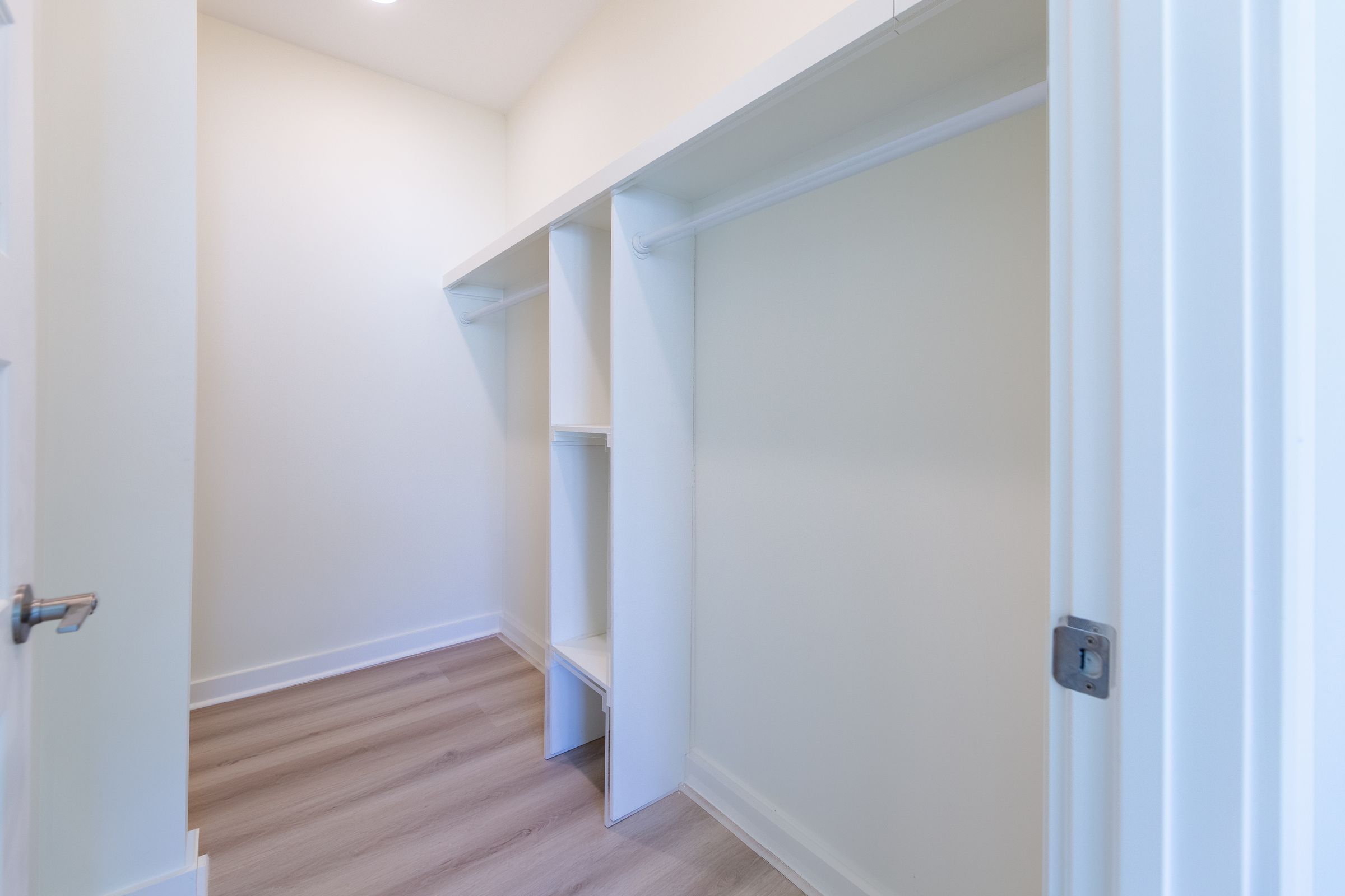 Sunshine Betancourt Rentals's image