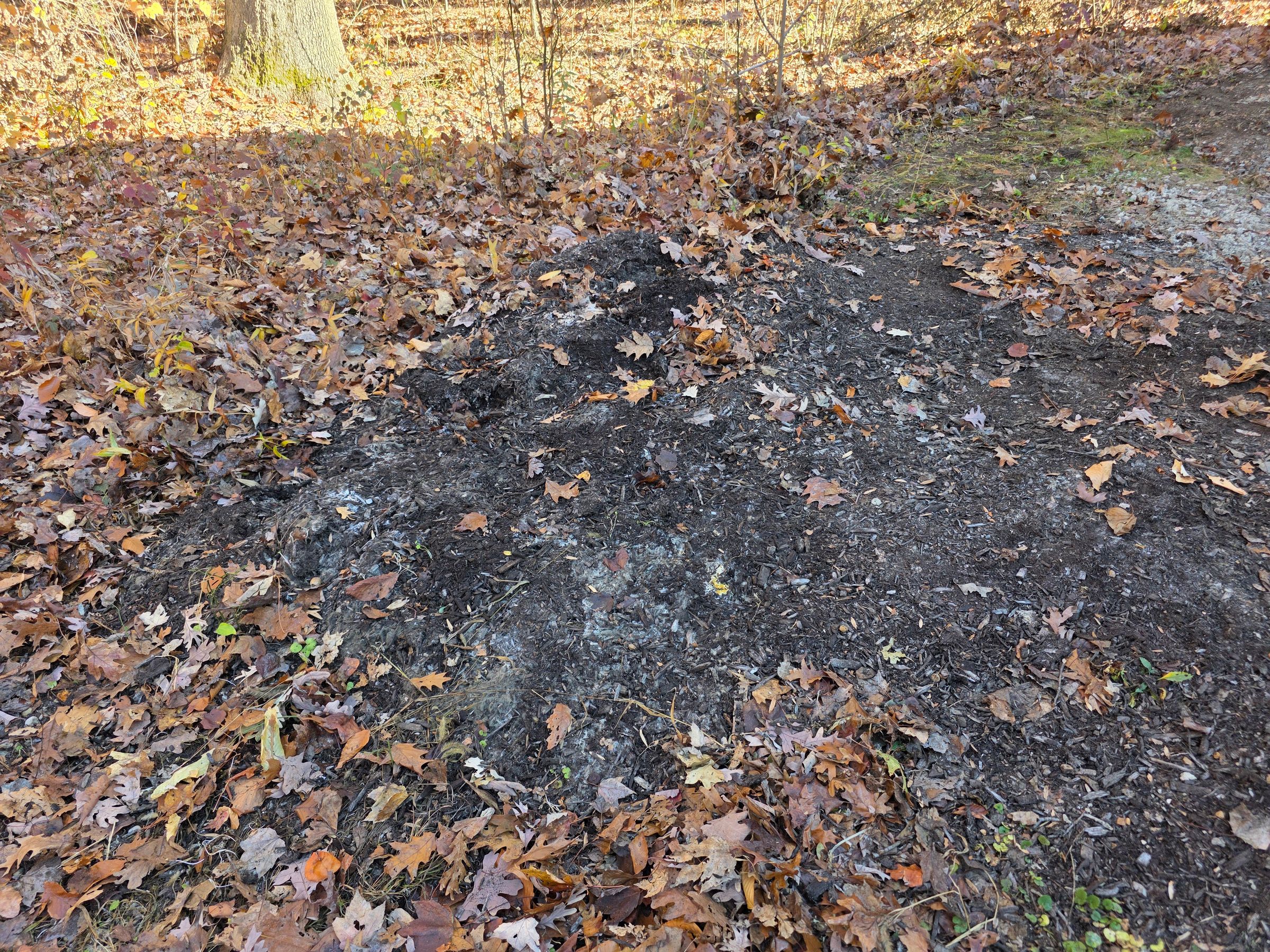 Stampede Hauling & Junk Removal, LLC's image