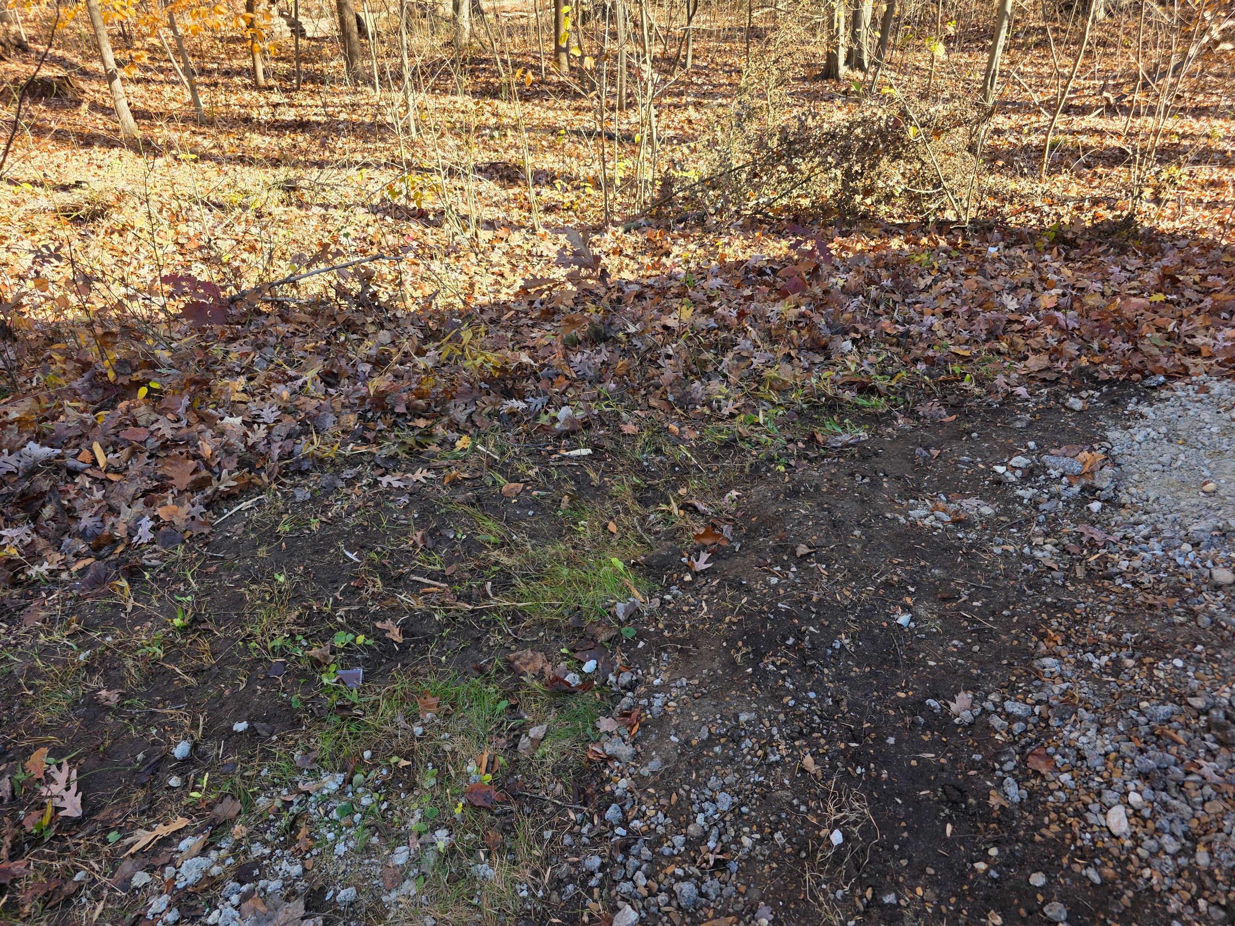 Stampede Hauling & Junk Removal, LLC's image