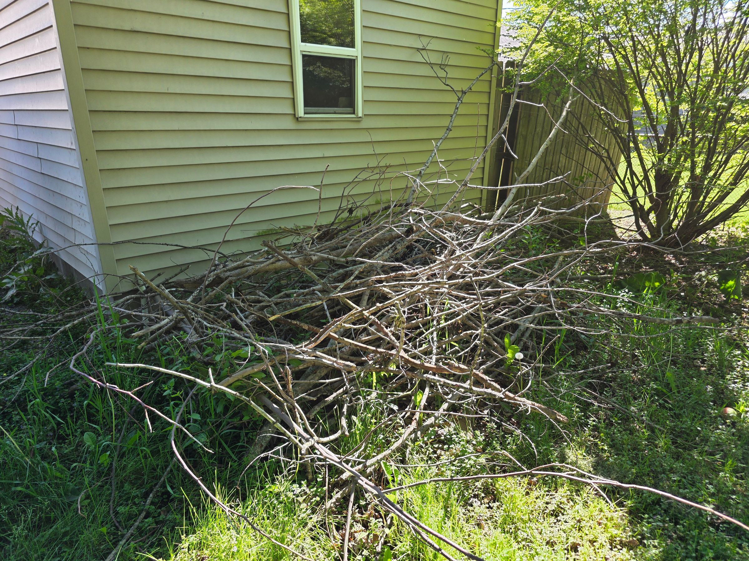 Stampede Hauling & Junk Removal, LLC's image