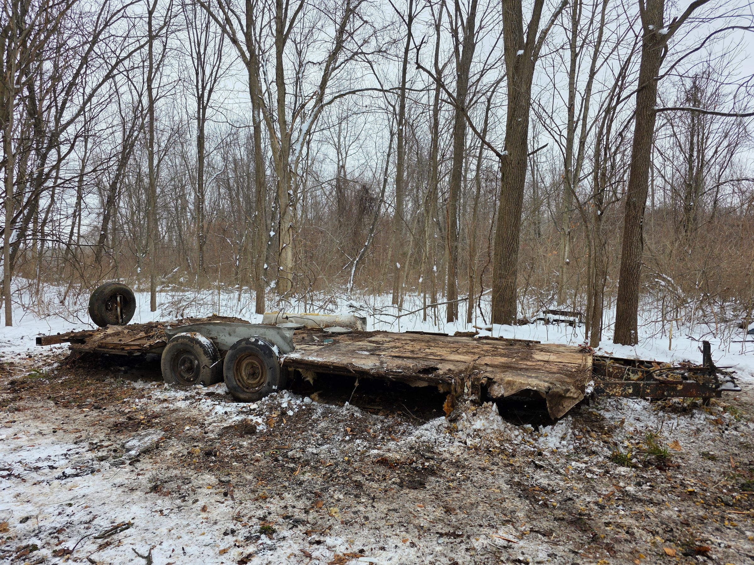 Stampede Hauling & Junk Removal, LLC's image