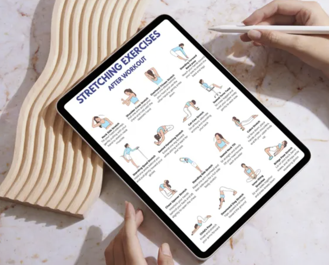 Primal Chiropractic and Fitness's image