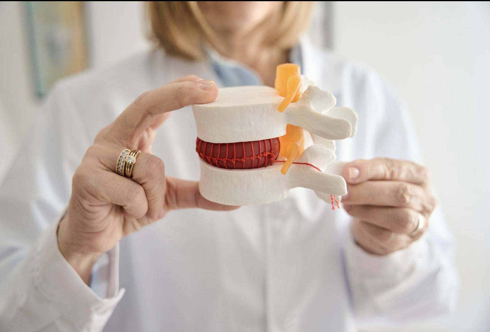 Primal Chiropractic and Fitness's image