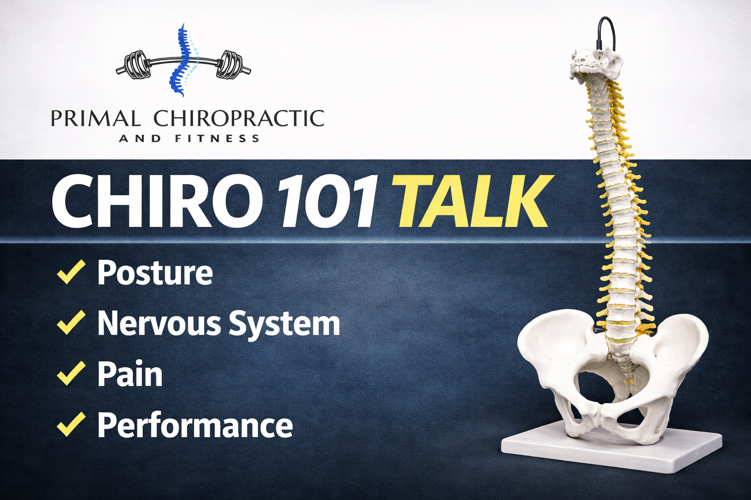 Primal Chiropractic and Fitness's image