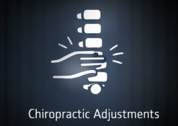Primal Chiropractic and Fitness's image