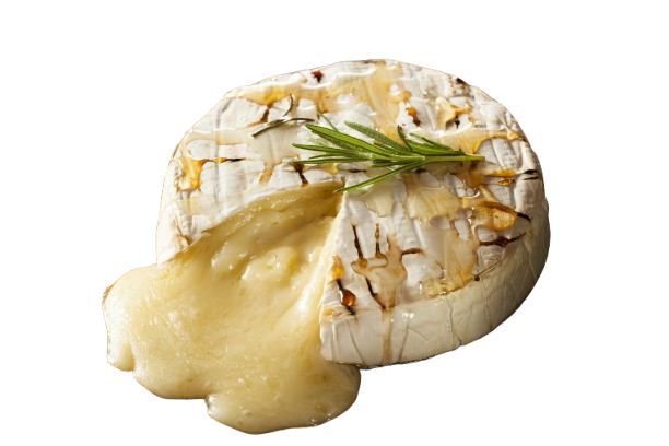 Vino del Mare Wine Bar & Lounge's image