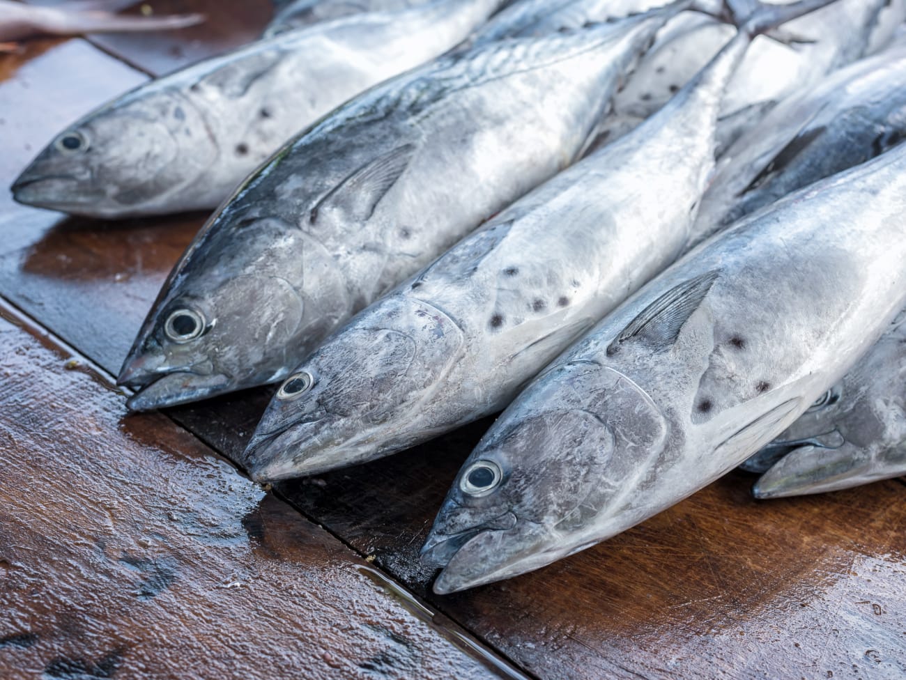 Import-Export surgelés & produits agricole\agrobusiness's image