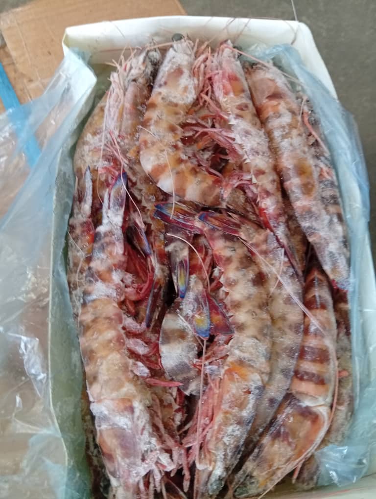 Import-Export surgelés & produits agricole\agrobusiness's image