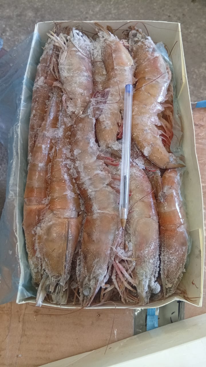 Import-Export surgelés & produits agricole\agrobusiness's image