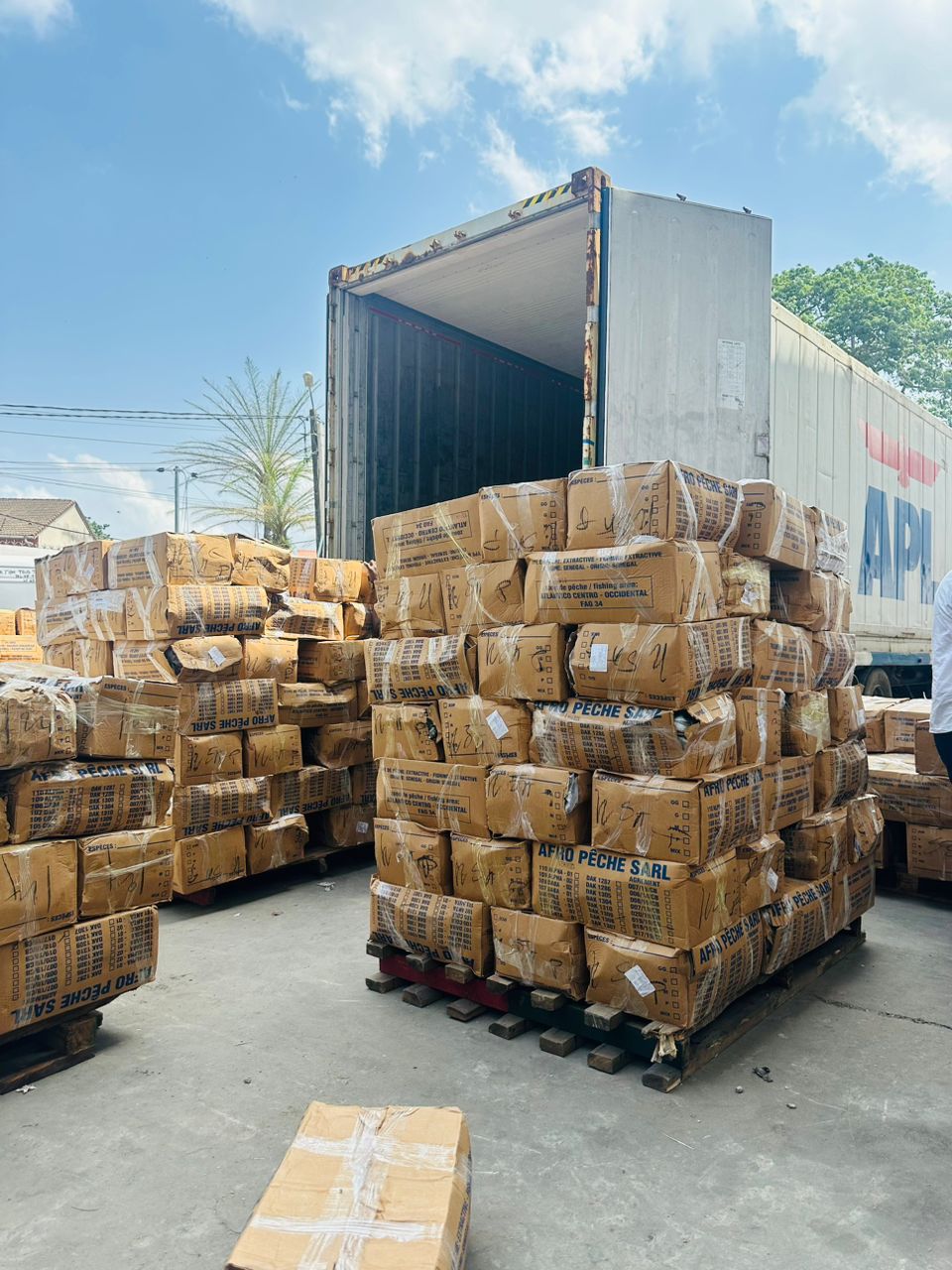 Import-Export surgelés & produits agricole\agrobusiness's image