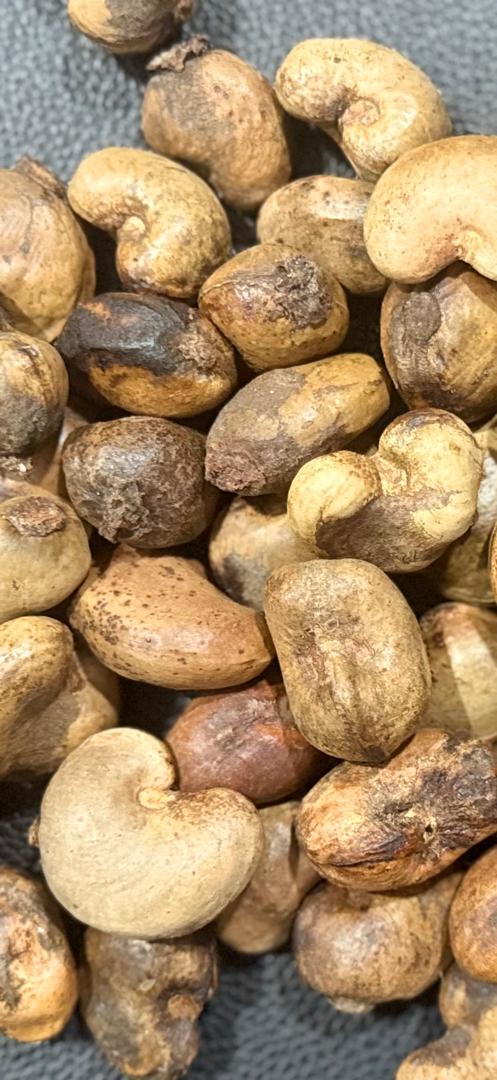 Import-Export surgelés & produits agricole\agrobusiness's image