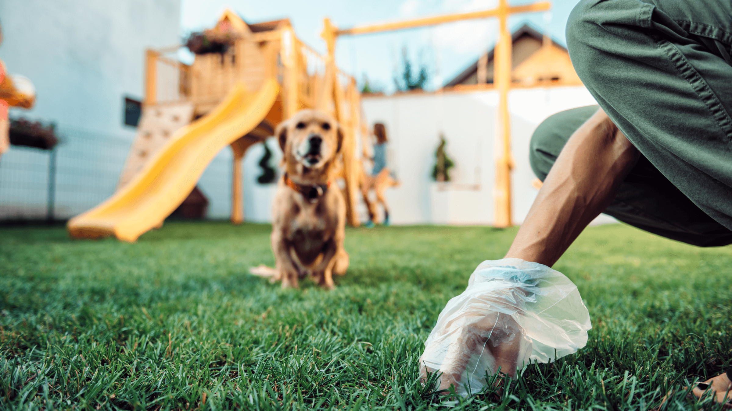  Pet Peel Poopa Scoop's image