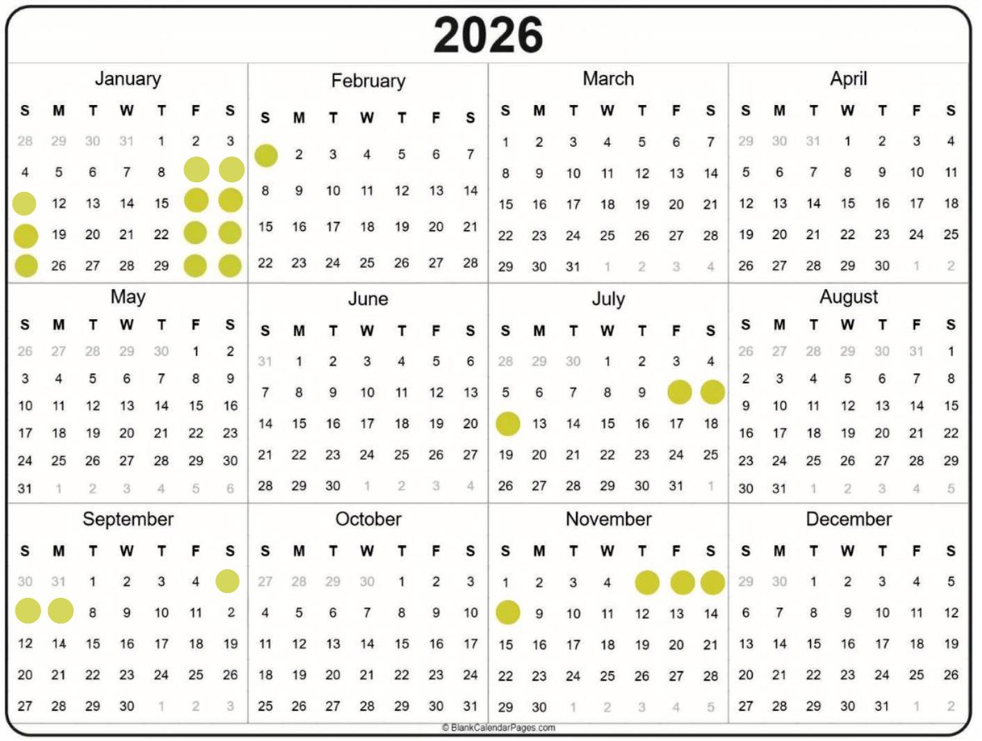 Whispering willow tree llc's image