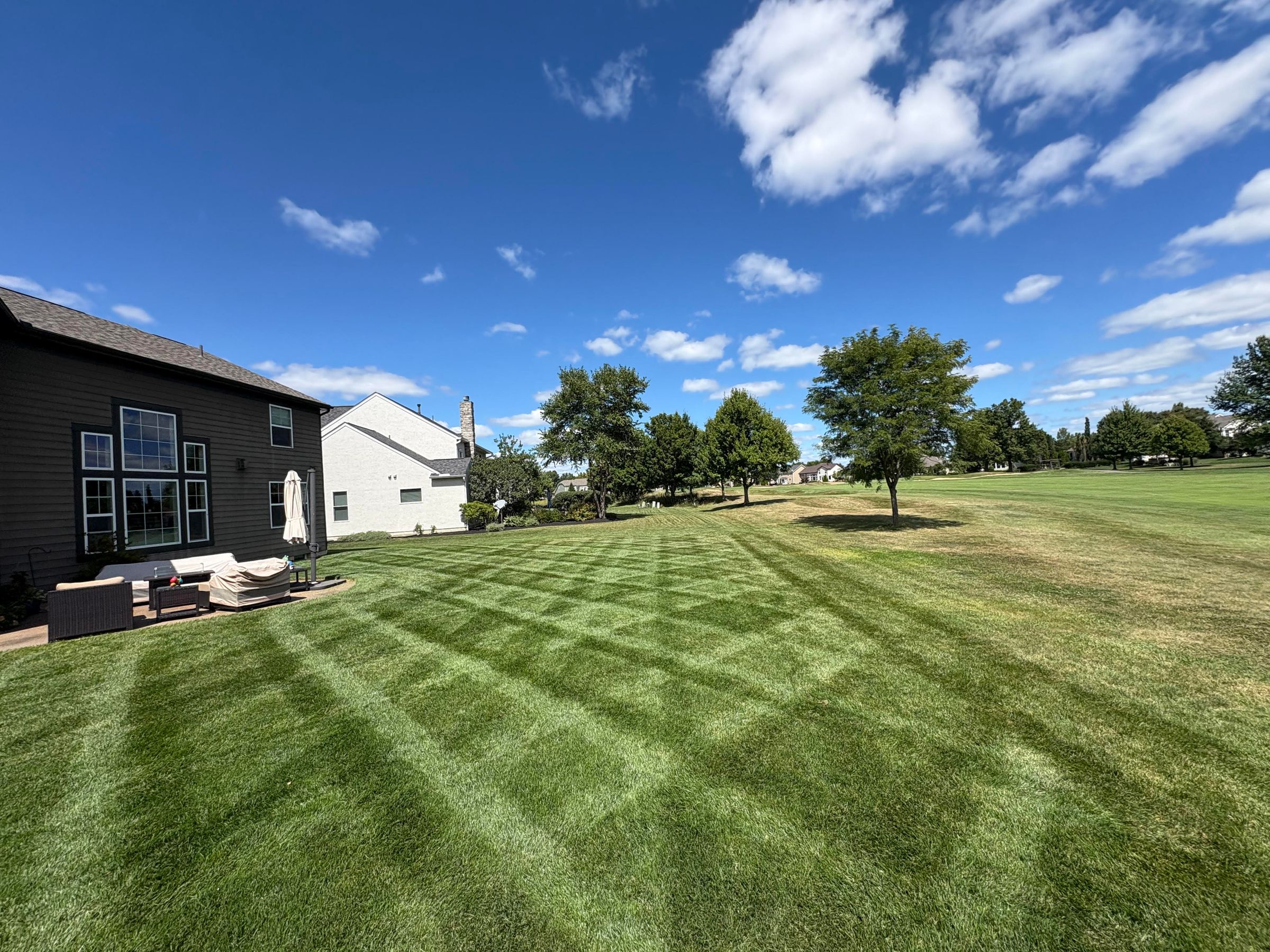 Double Cut 61 inch stripes from the SCAG Cheetah