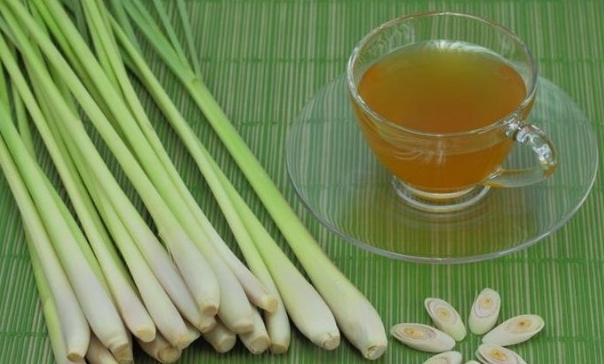 Lemon Grass