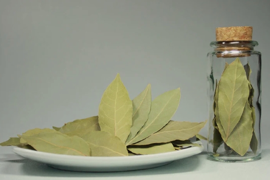 Bay Leaves