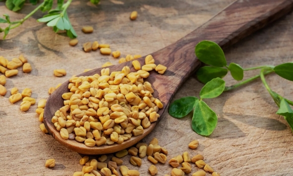 Fenugreek Seed