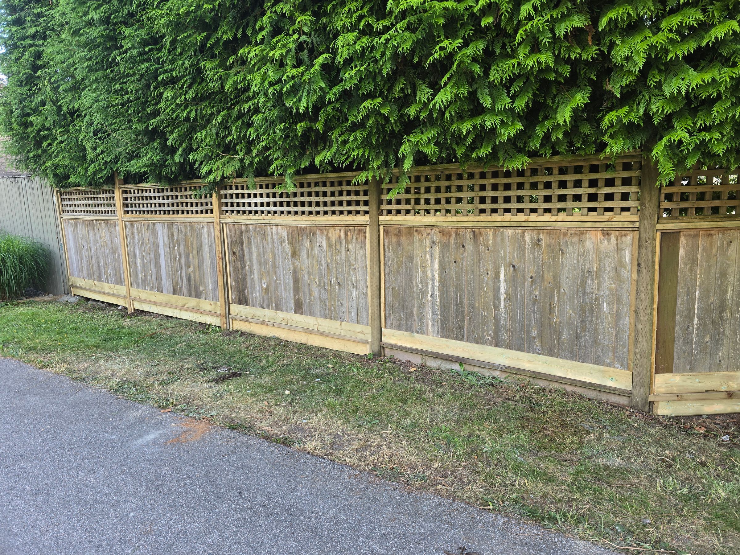 A refurbished fence, to add some life in a cost-effective way