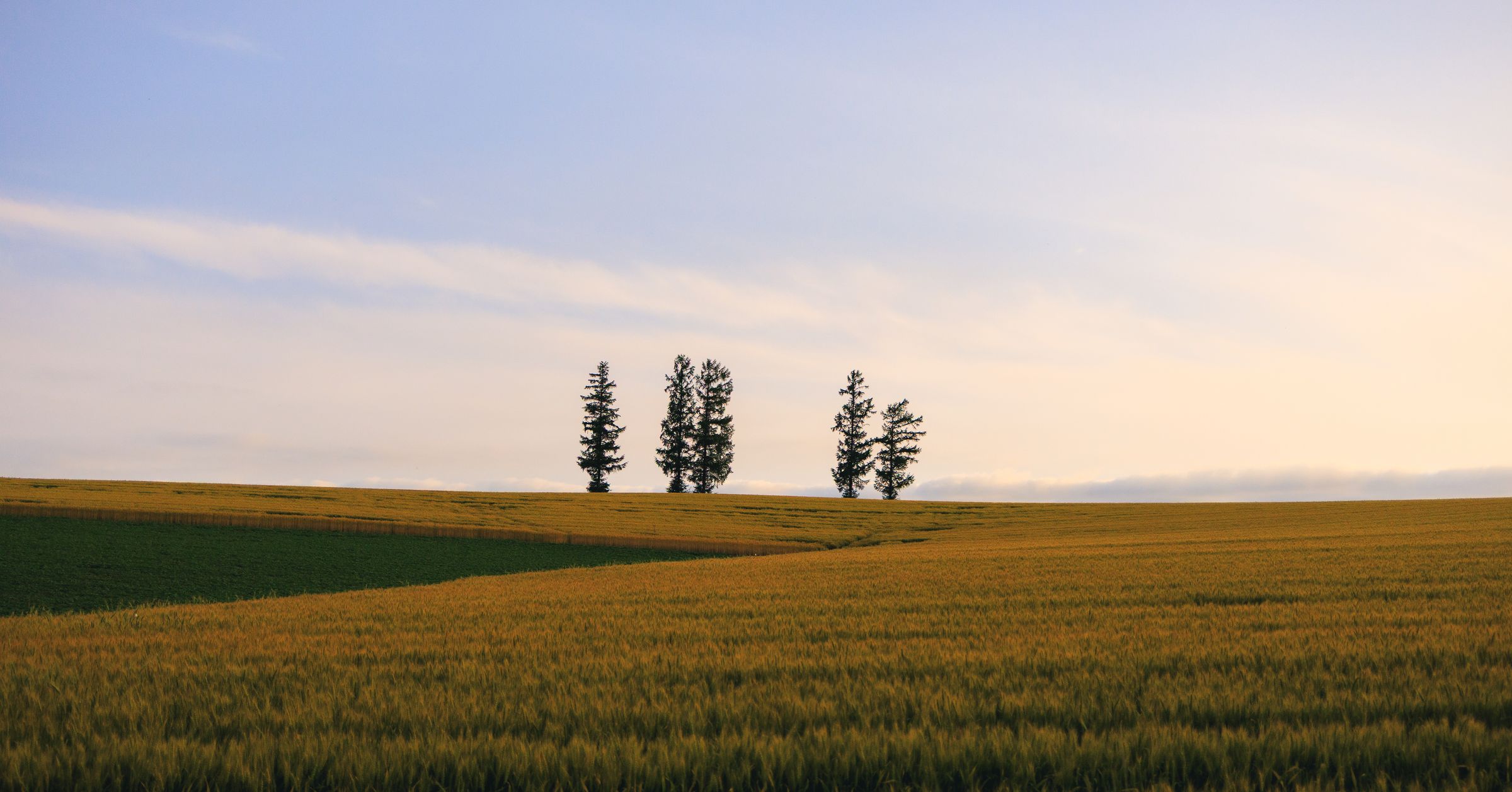 Silent Crow Photography's image