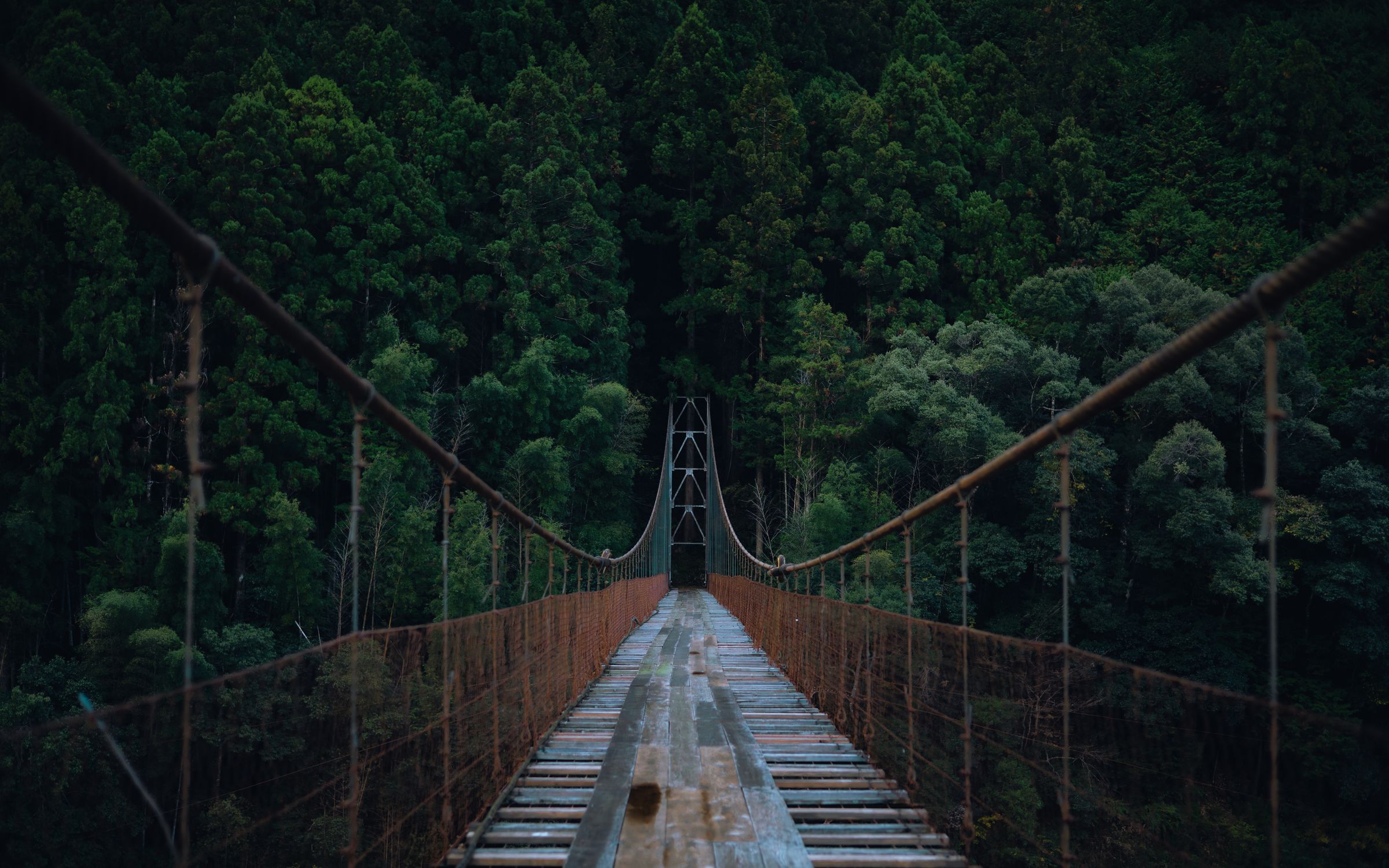 Silent Crow Photography's image