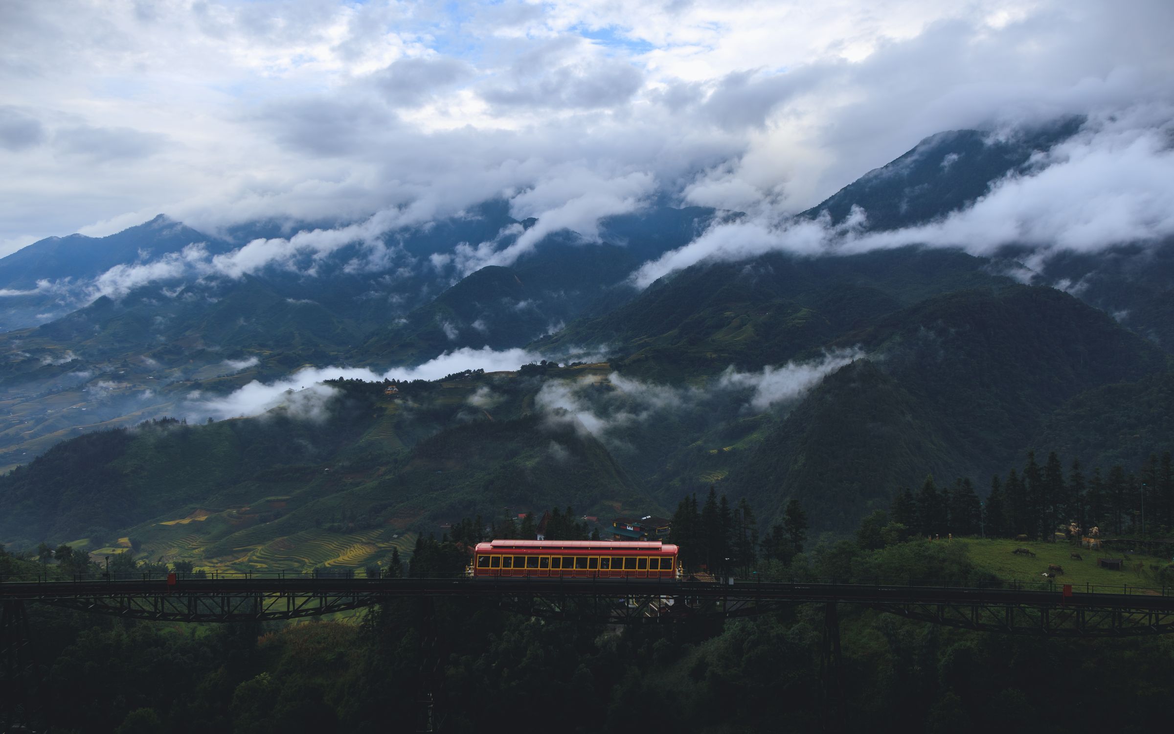 Silent Crow Photography's image