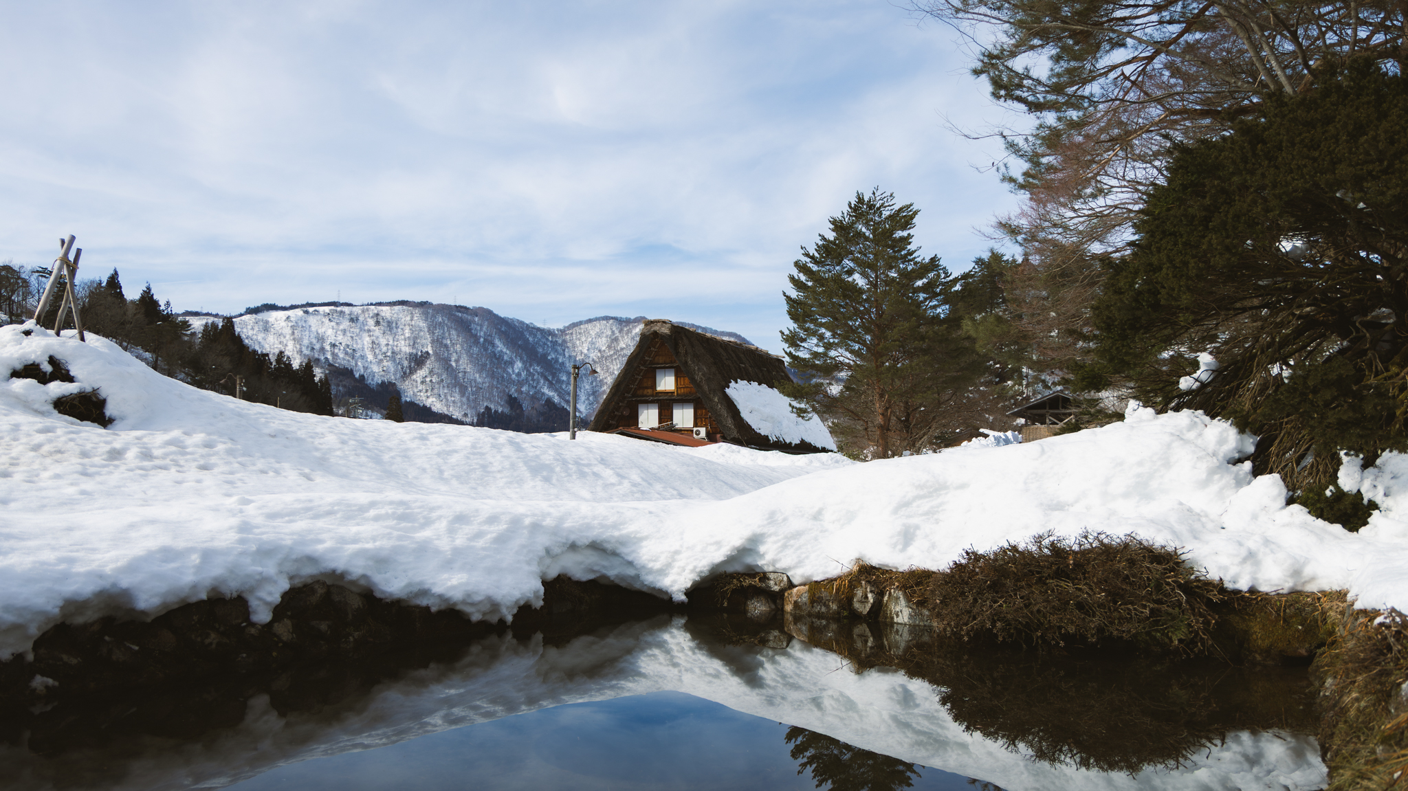 Silent Crow Photography's image