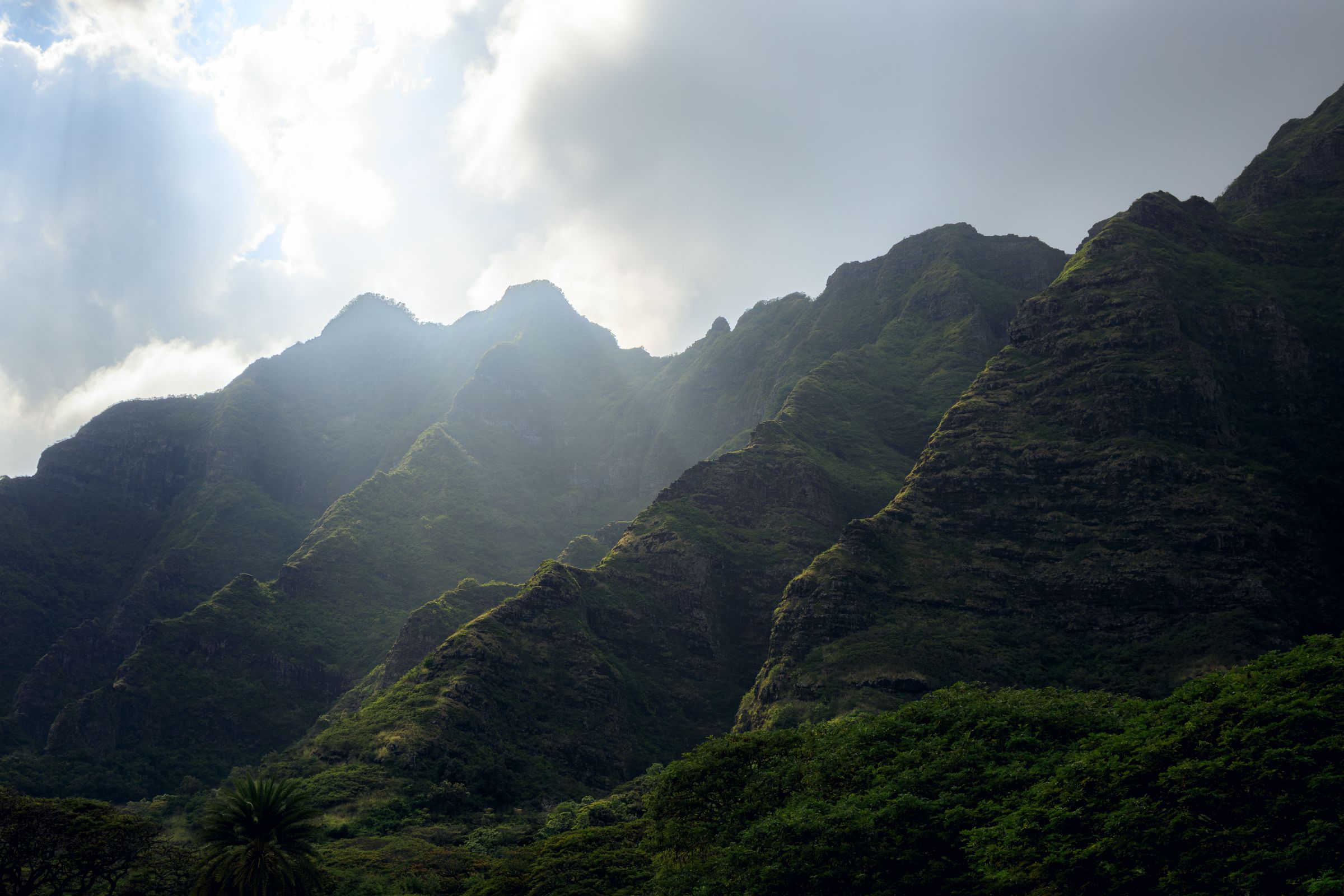 Silent Crow Photography's image