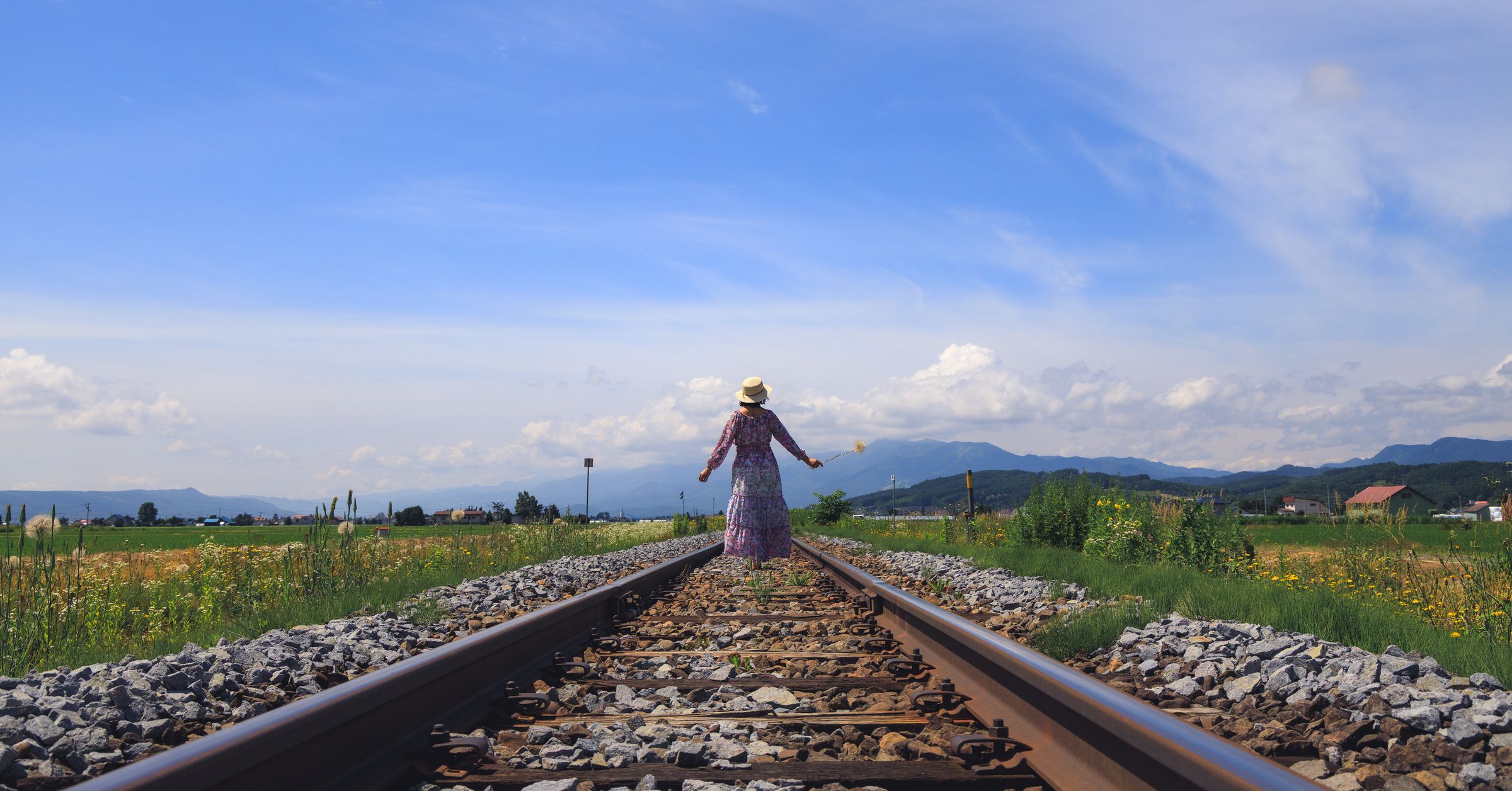 Silent Crow Photography's image