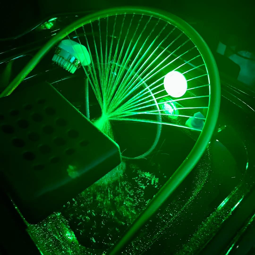 Zen-Ergy Spa's image