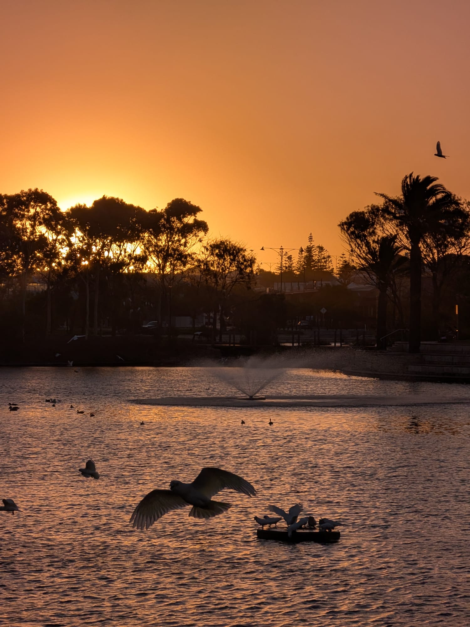 Ausbound Relocation 's image