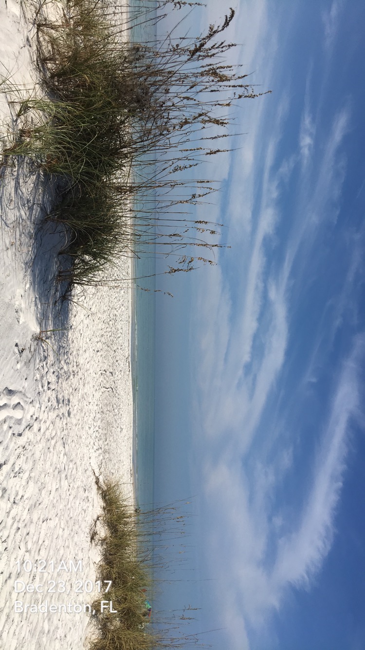 BLUE LAGOON SRQ RESORT's image