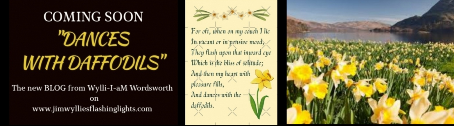 "FLASHING LIGHTS" and "DANCES WITH DAFFODILS"'s image