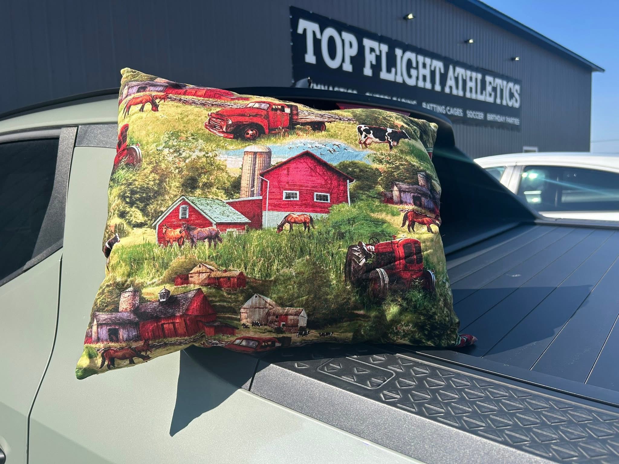 Homemade Pillows