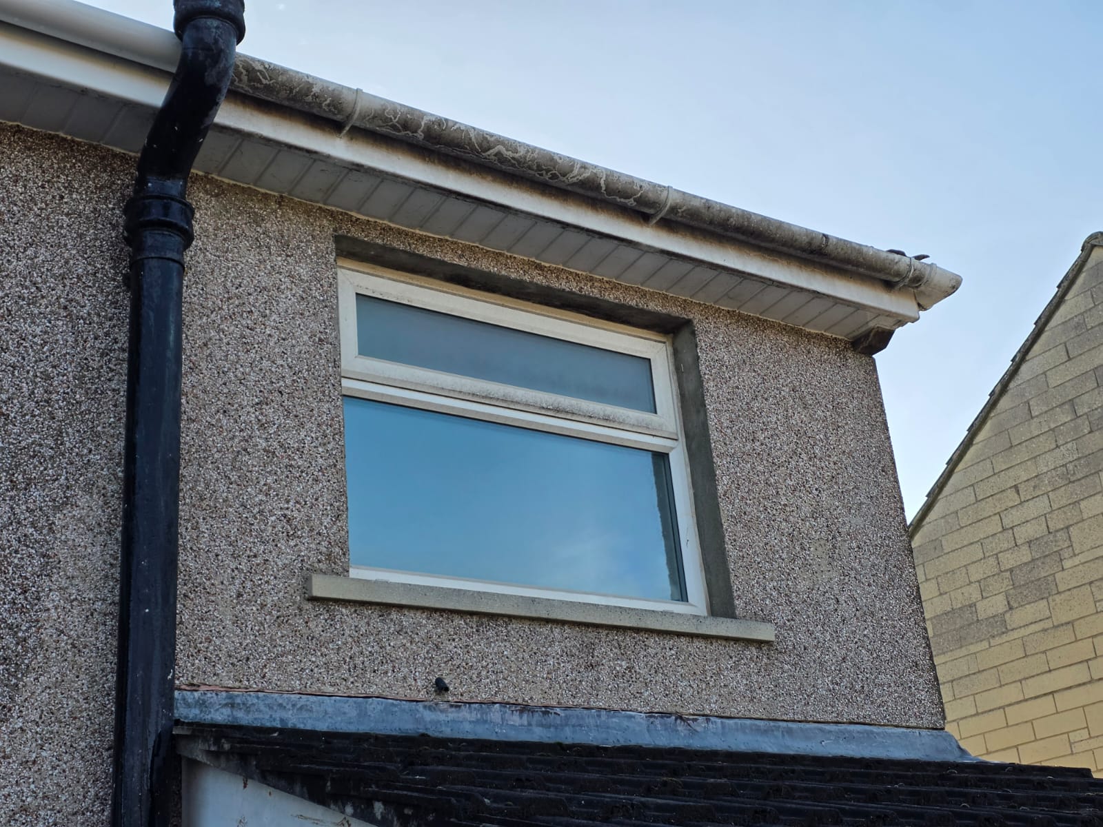 Tom Marcelle Window Cleaning's image