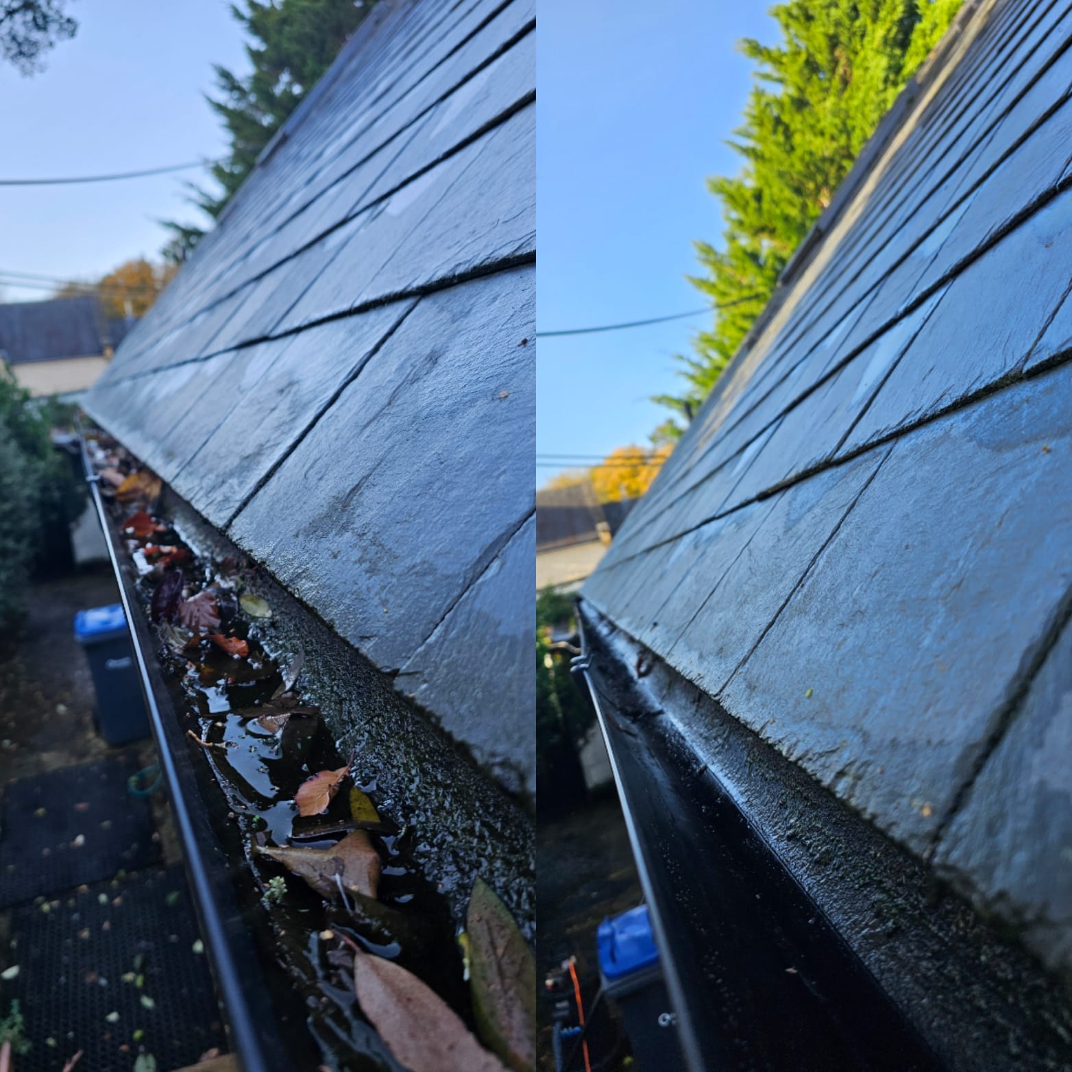 Tom Marcelle Window Cleaning's image