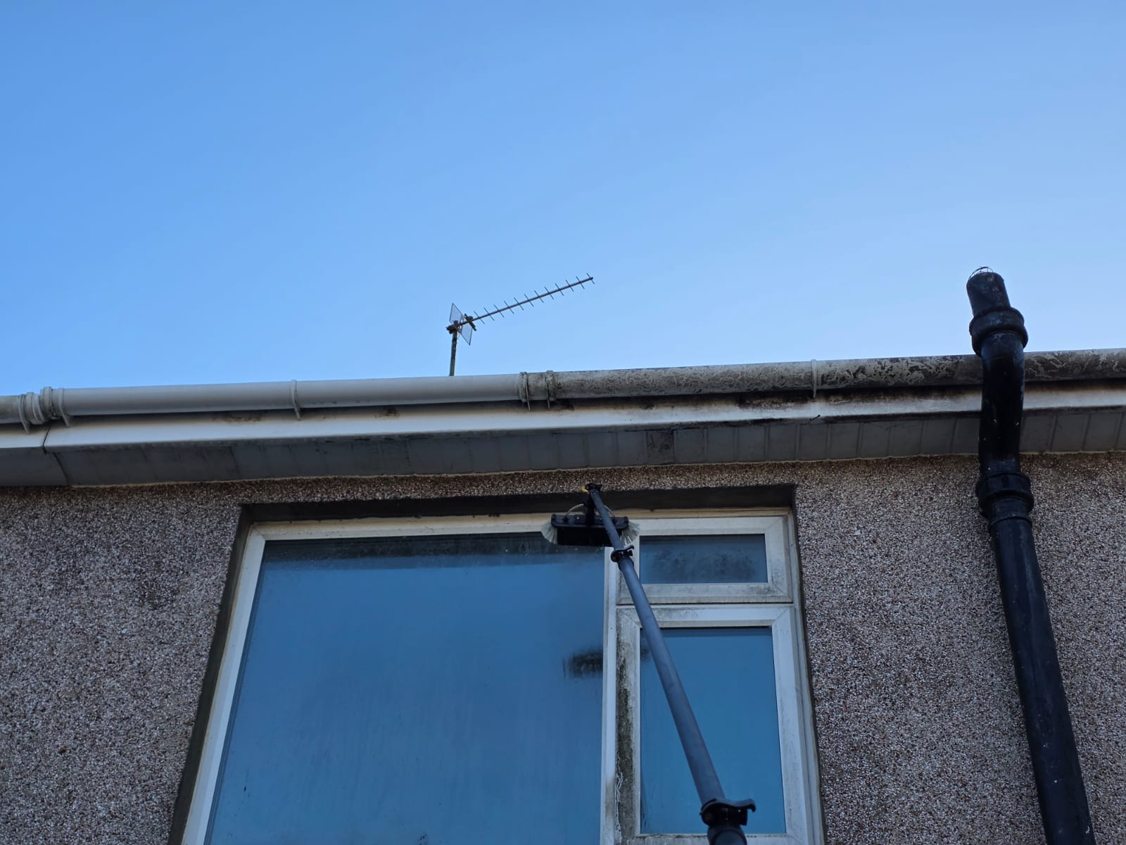 Tom Marcelle Window Cleaning's image