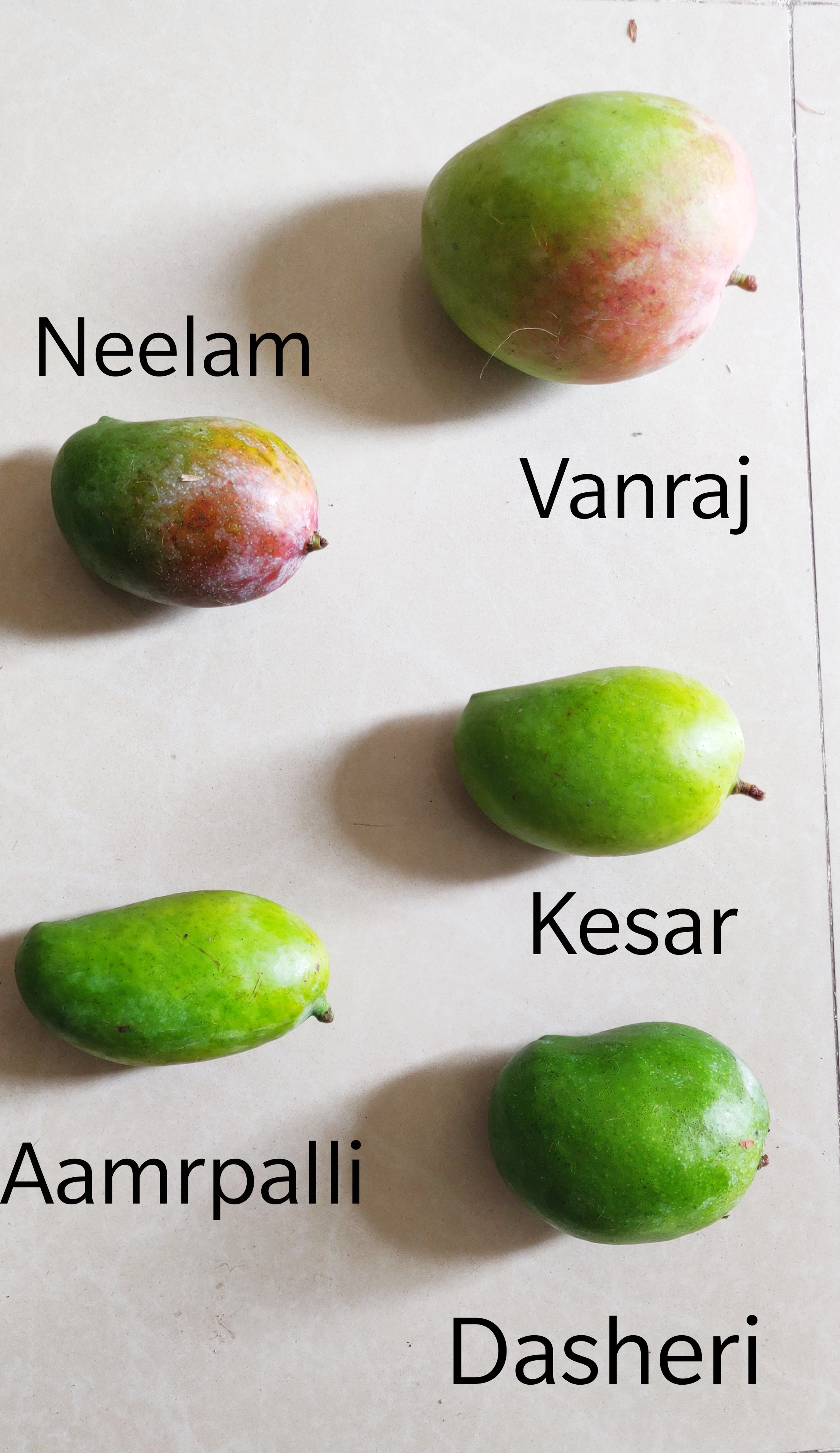 Mango Variety