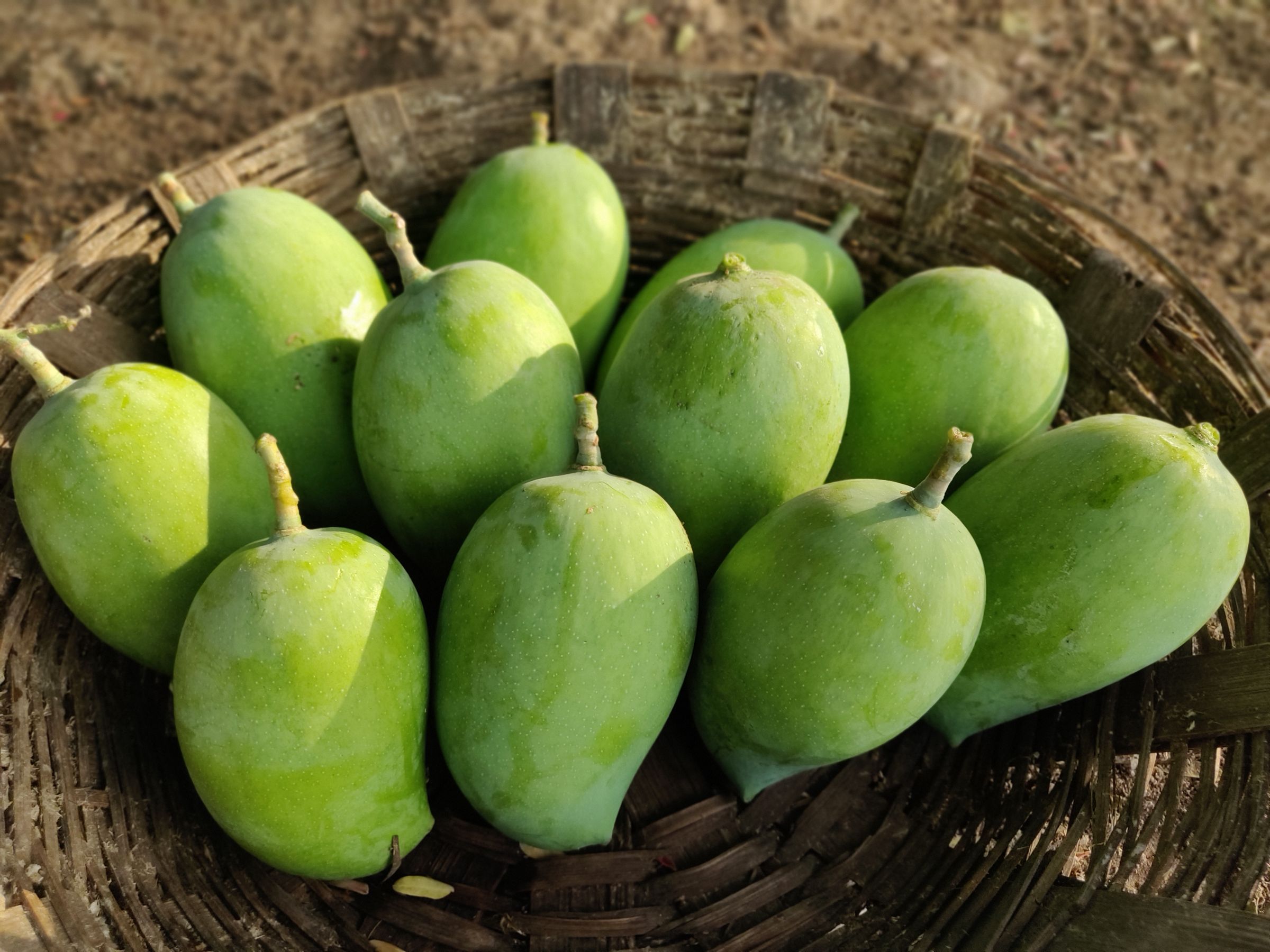 Antarang Organic Farms's image