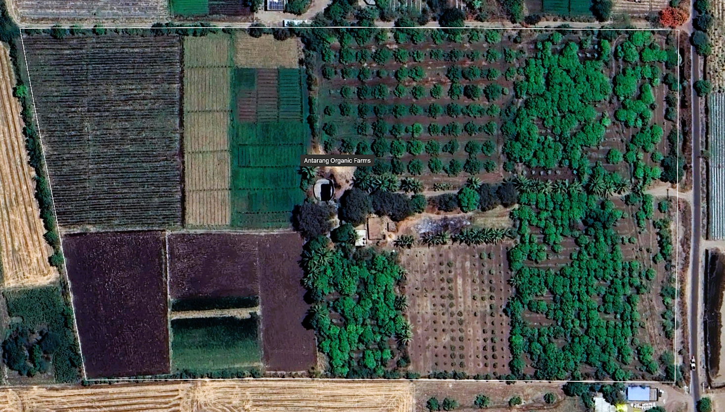 Farm Top View