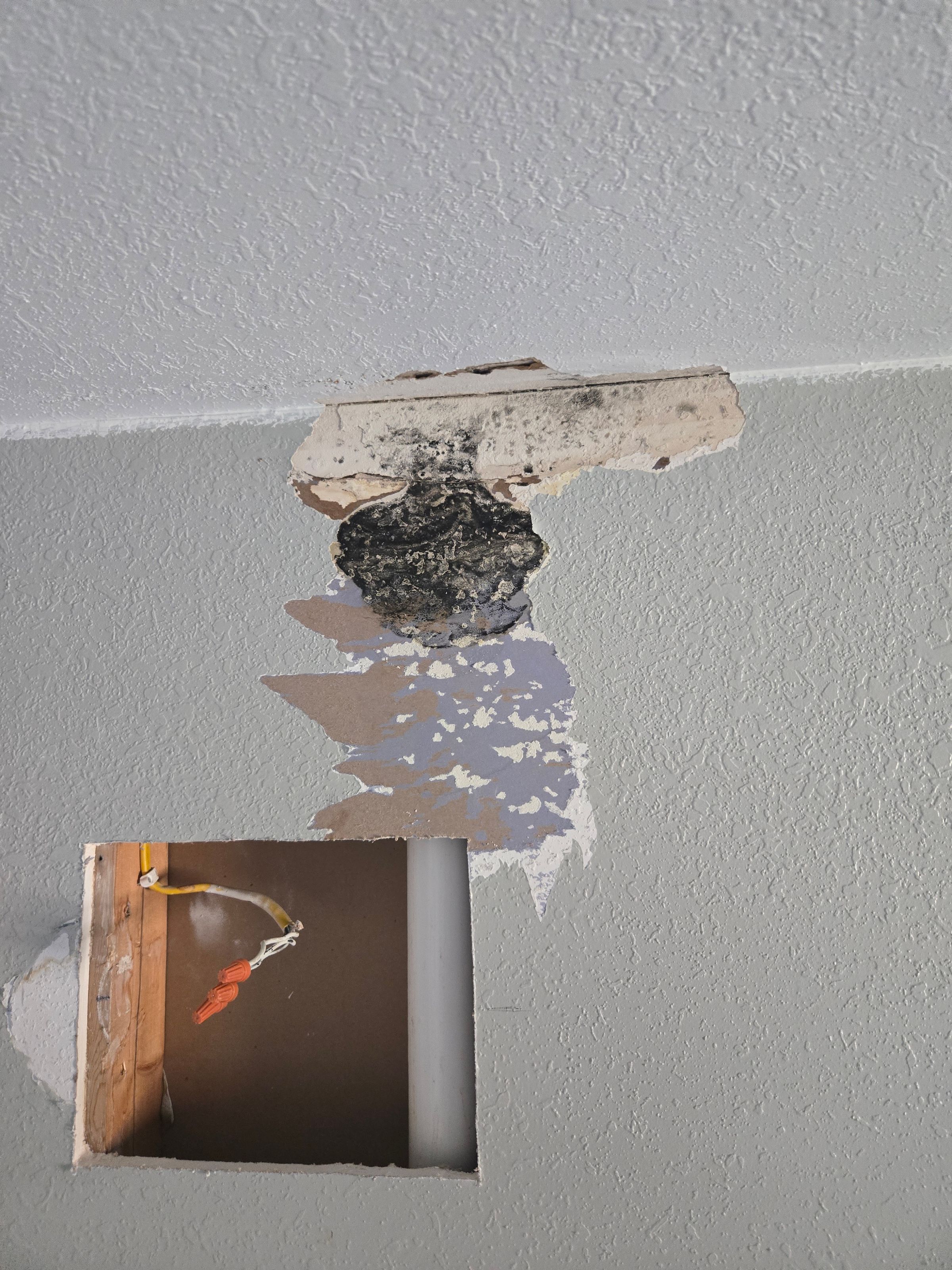 PROFICIENT REPAIR OH LLC's image