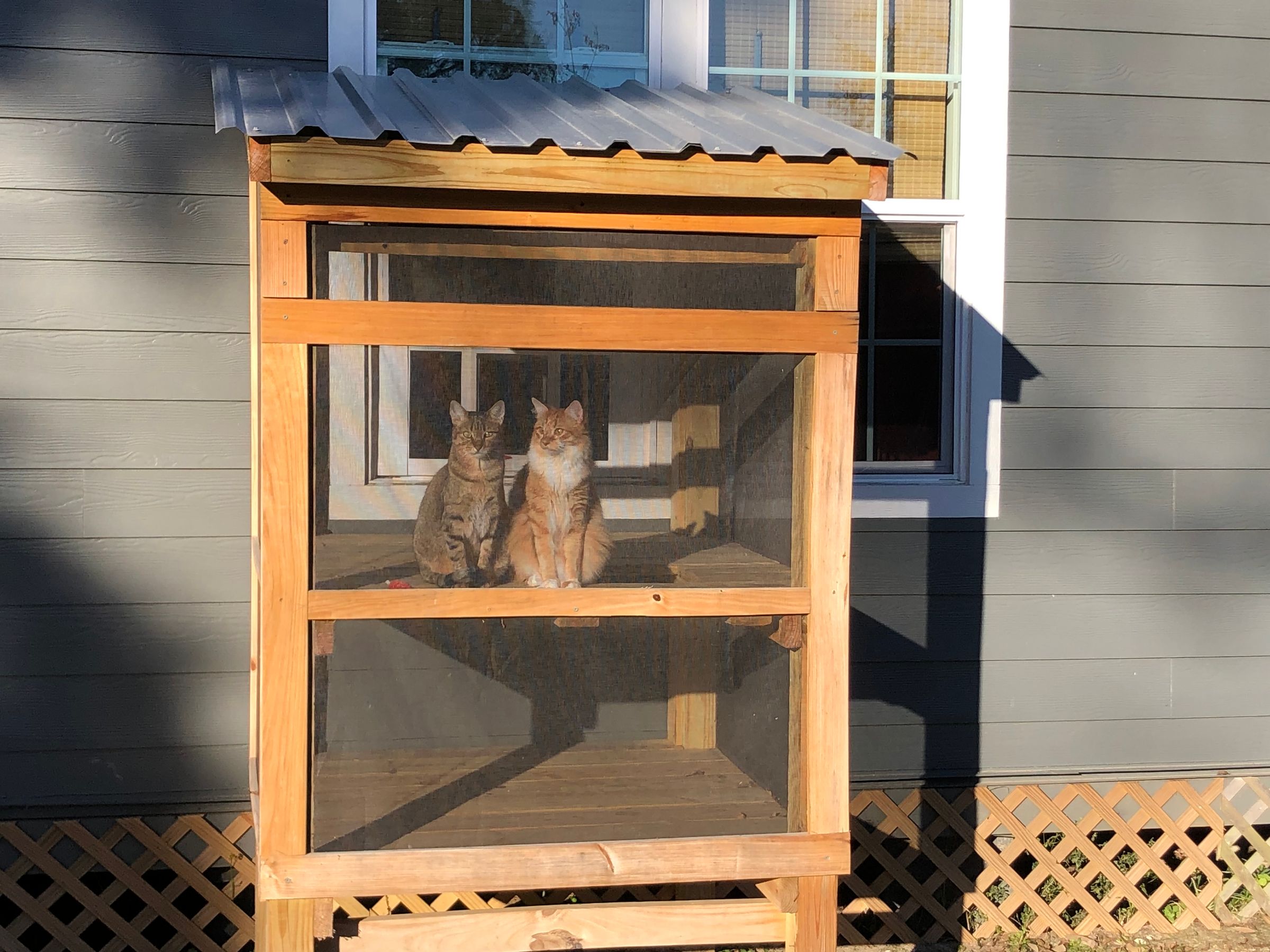 Catio